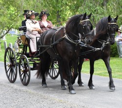 The Carriage Pleasure Drive, a part of the Devon Horse Show’s long history